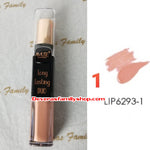 Amuse DUO MATTE LABIAL