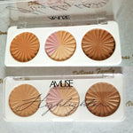PROFESSIONAL HIGHLIGHTER Y BRONZER