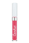Individuales CANDICE Labiales matte