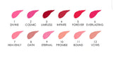 LÁPIZ LABIAL ETERNO MATE /  EVERLASTING MATTE LIPSTICK