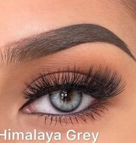 Himalaya grey