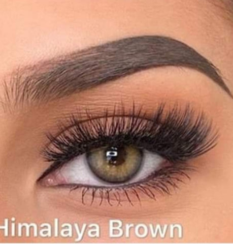 Himalaya Brown